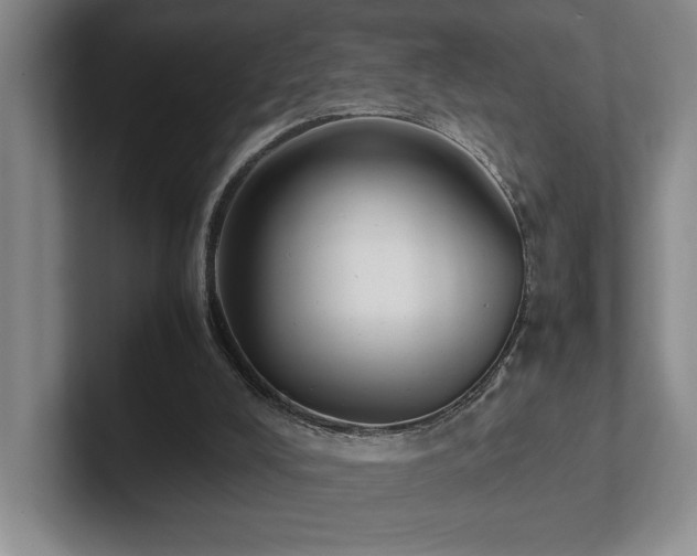 X0000102270008200807251359
