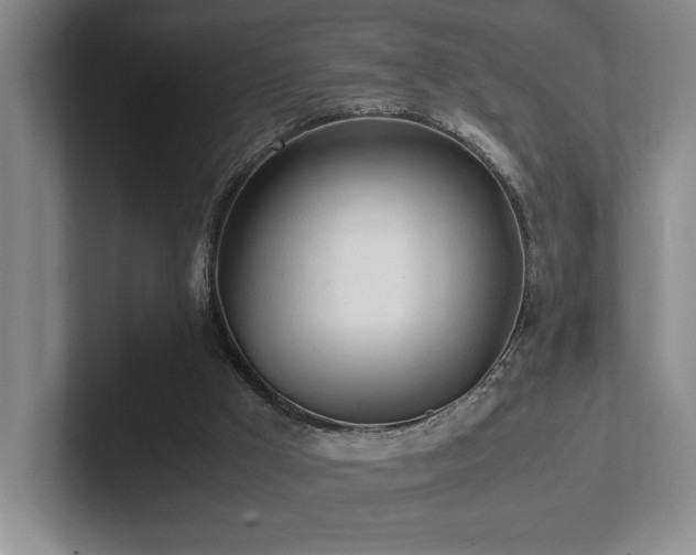 X0000102270009200807251359
