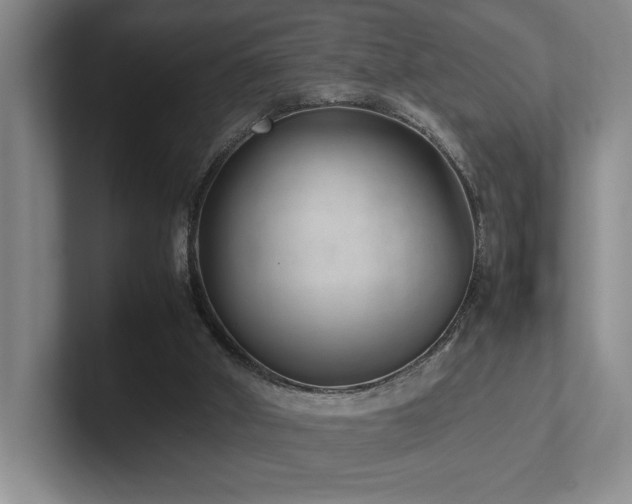 X0000102270010200807251359