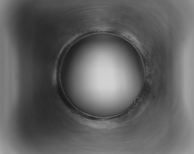 X0000102270012200807251358