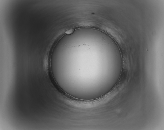 X0000102270015200807251358
