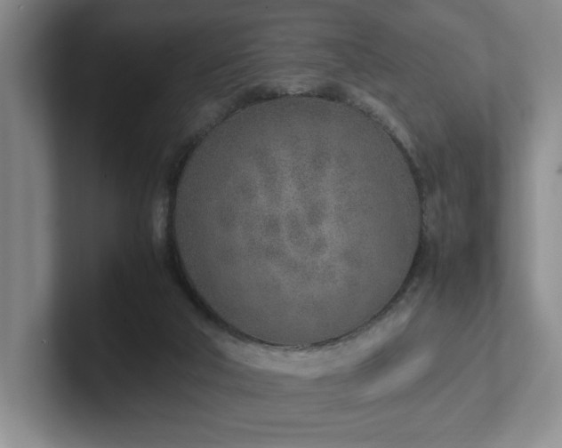 X0000102270018200807251358