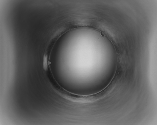 X0000102270020200807251358
