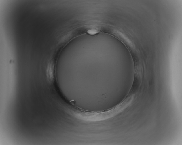 X0000102270023200807251358