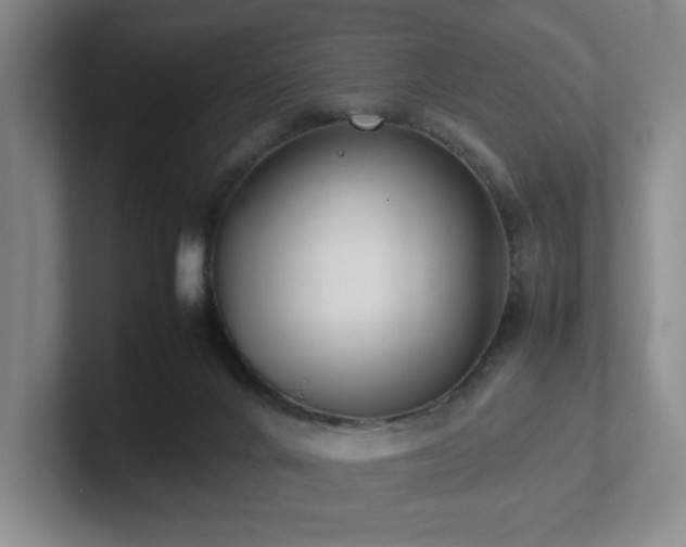 X0000102270024200807251358