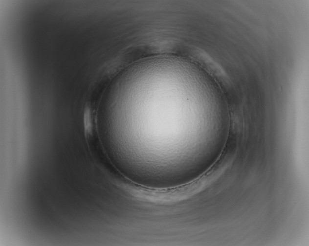 X0000102270026200807251358