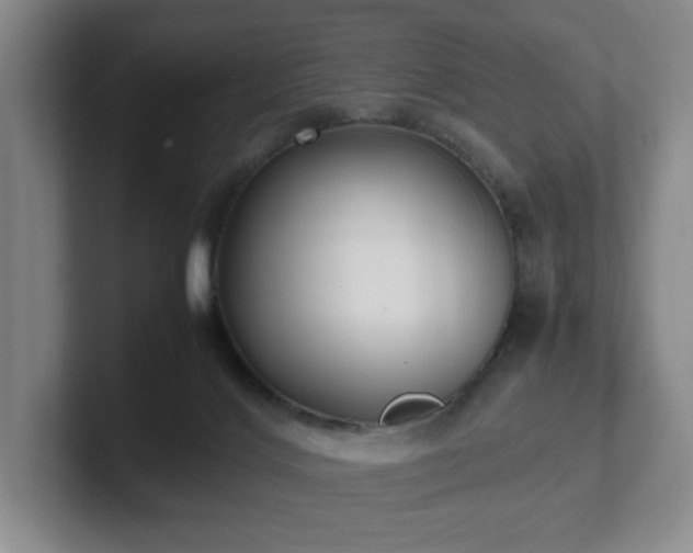X0000102270028200807251358