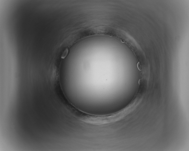 X0000102270029200807251358