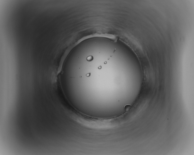 X0000102270032200807251358