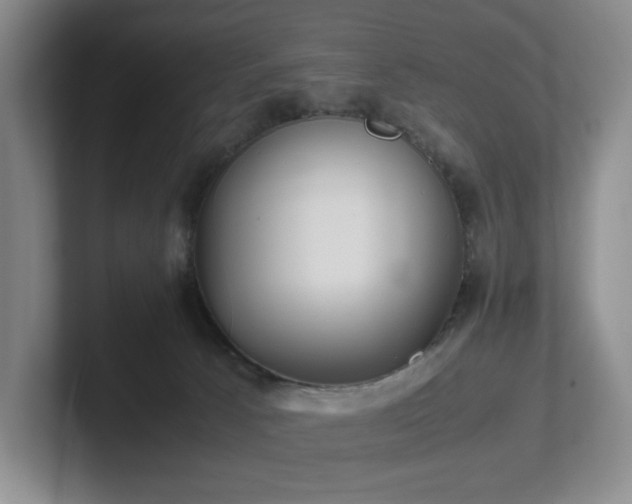 X0000102270033200807251358