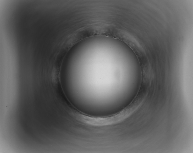 X0000102270034200807251358