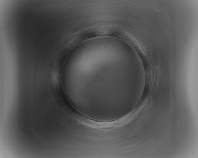 X0000102270035200807251358