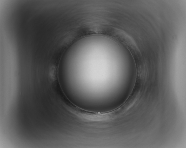 X0000102270036200807251358