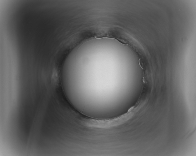 X0000102270037200807251358