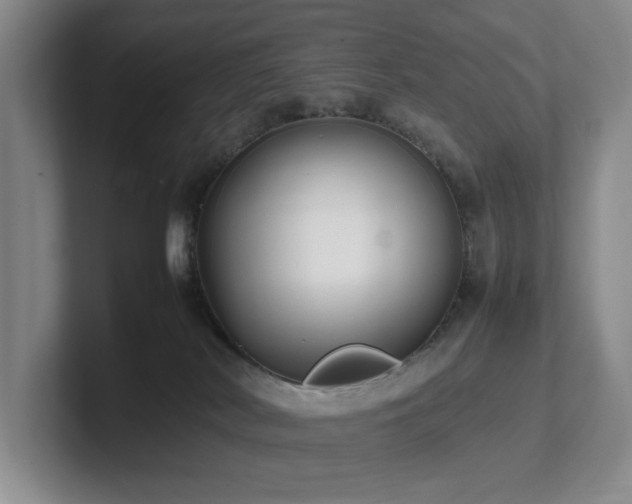 X0000102270038200807251358