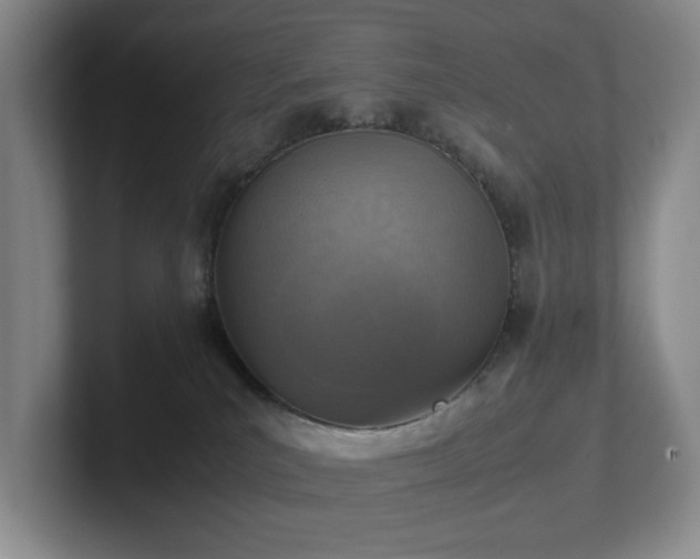 X0000102270039200807251358