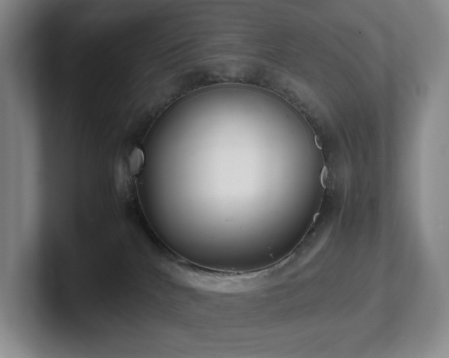 X0000102270040200807251358