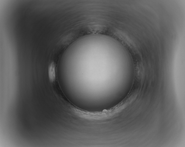 X0000102270042200807251358