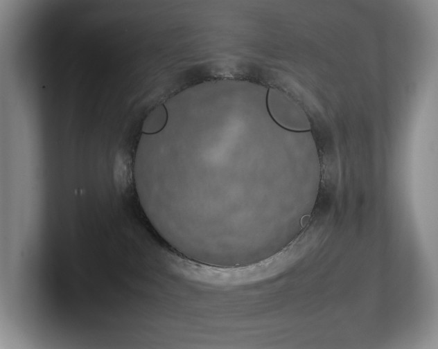 X0000102270043200807251358