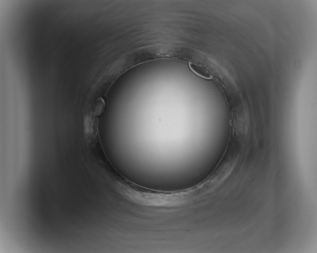 X0000102270044200807251358