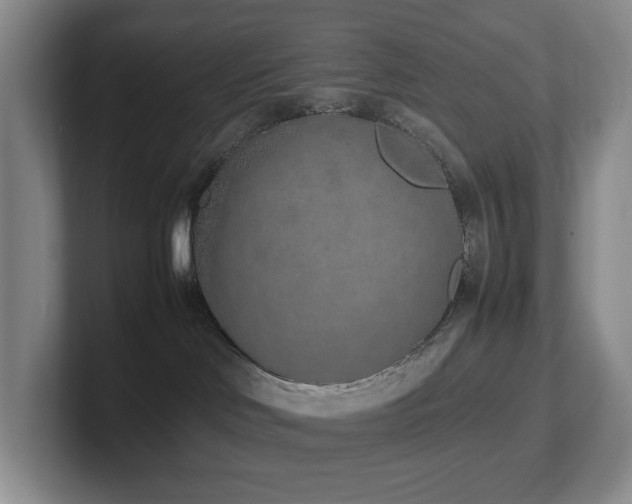 X0000102270046200807251358