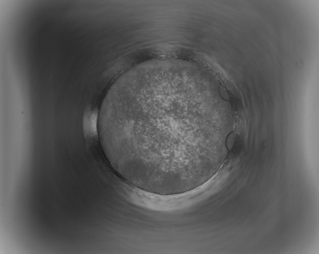 X0000102270047200807251358