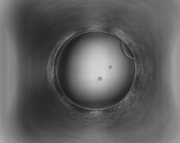 X0000102270050200807251357