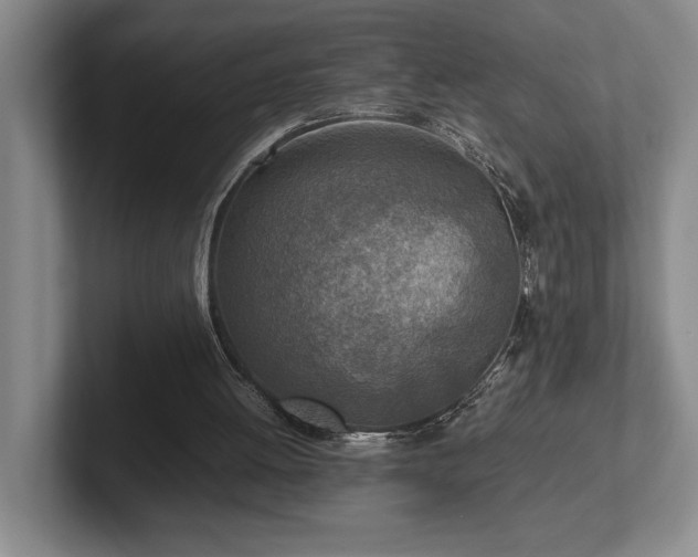 X0000102270052200807251357