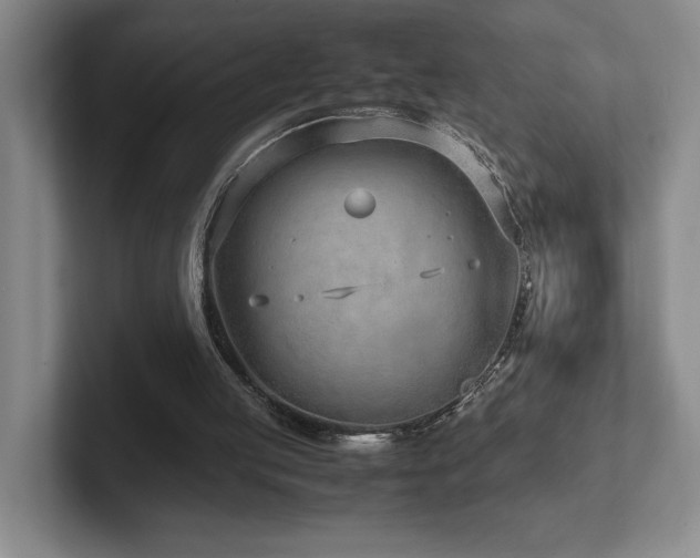 X0000102270053200807251357