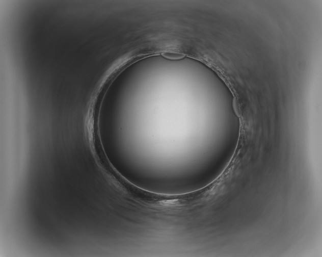 X0000102270054200807251357