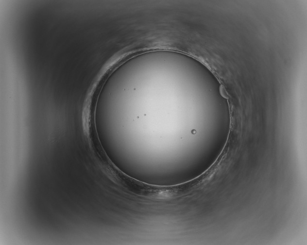 X0000102270056200807251357