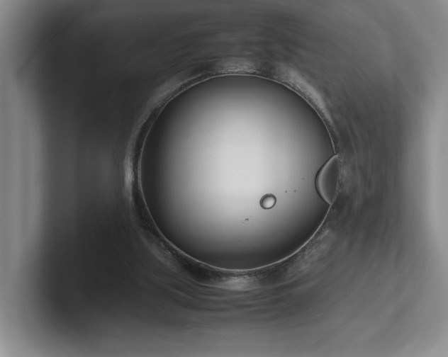 X0000102270059200807251358