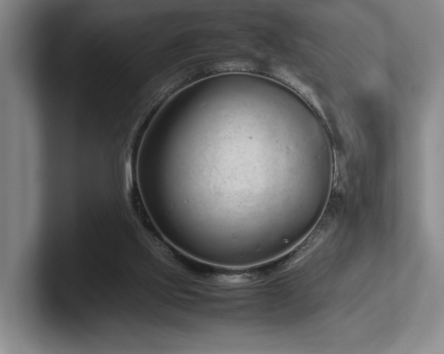 X0000102270061200807251358