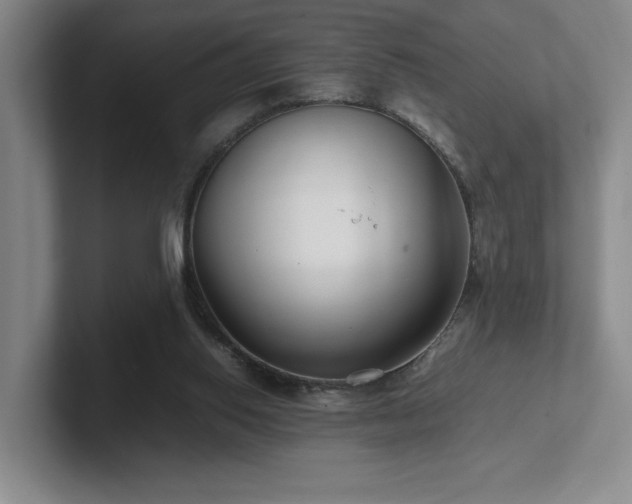 X0000102270062200807251358