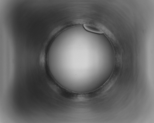 X0000102270064200807251358