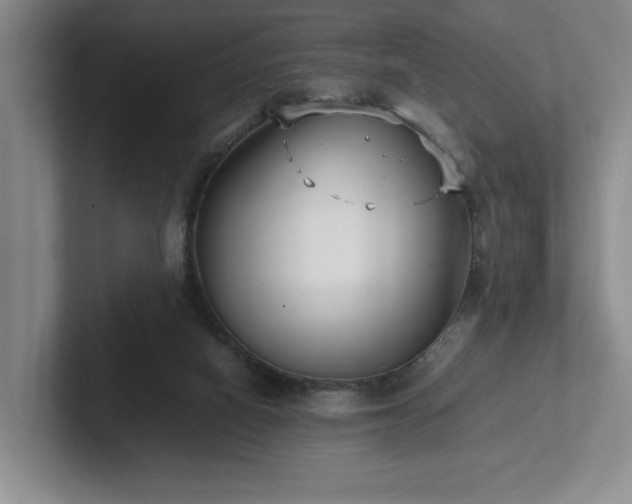X0000102270066200807251358
