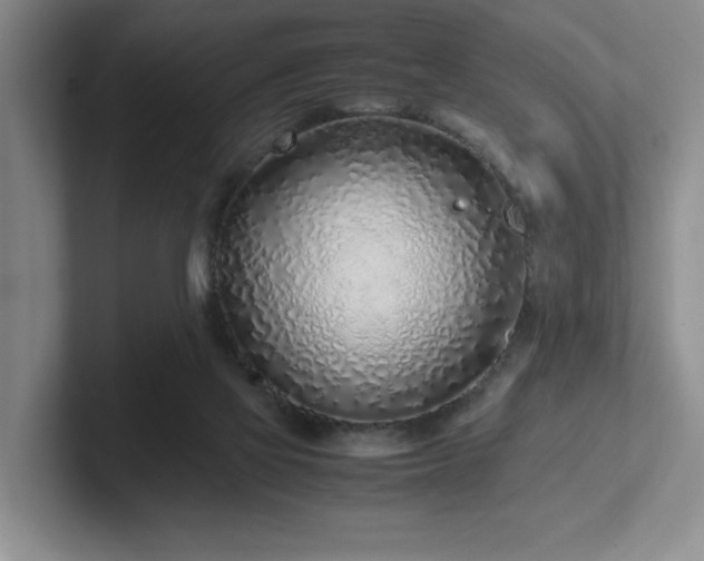 X0000102270069200807251358