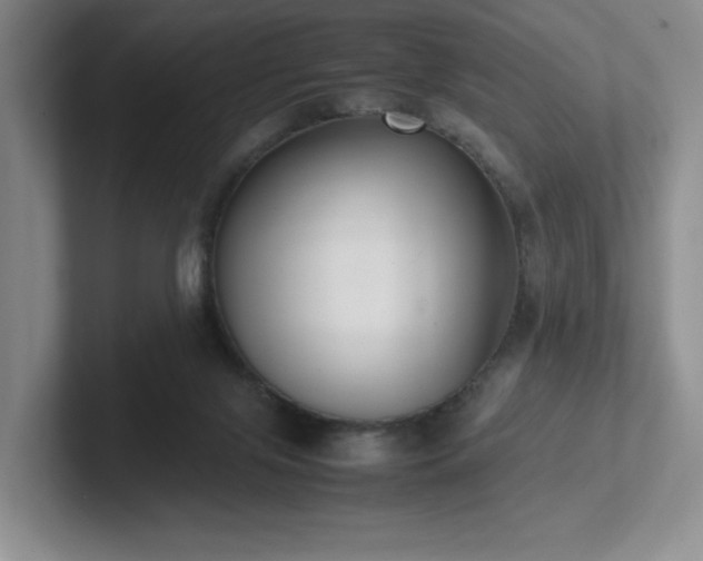 X0000102270071200807251358