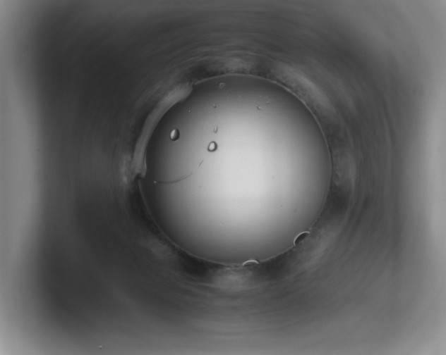 X0000102270077200807251358