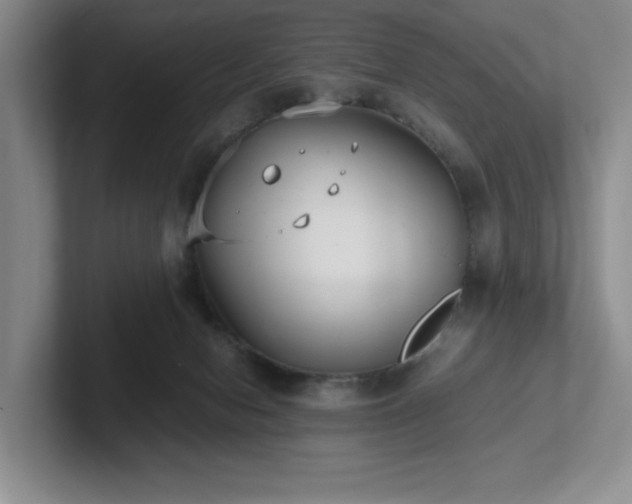 X0000102270078200807251358