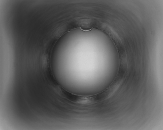 X0000102270083200807251358