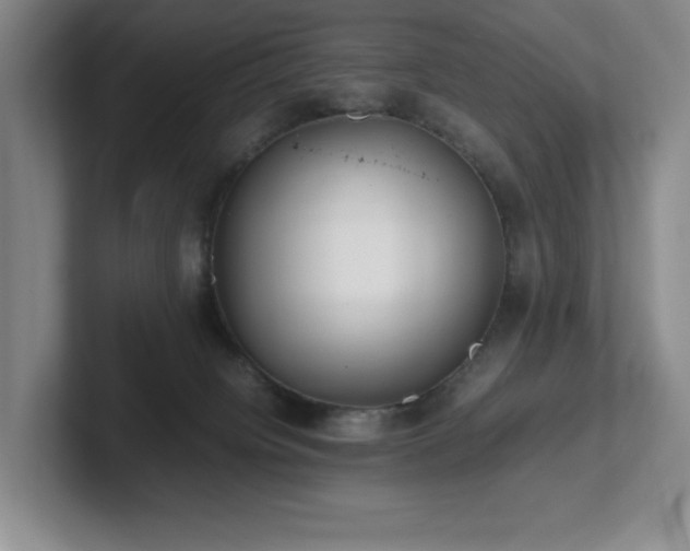 X0000102270084200807251358
