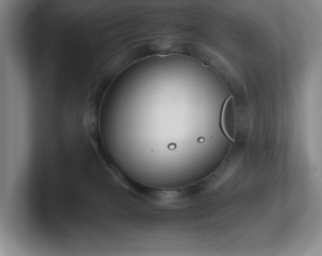 X0000102270085200807251358