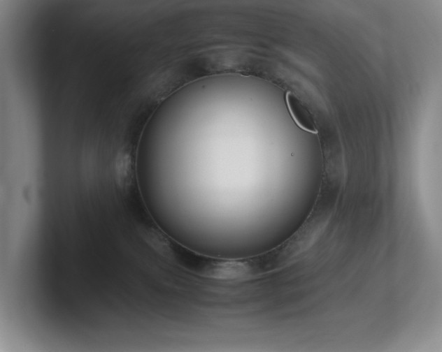 X0000102270087200807251358