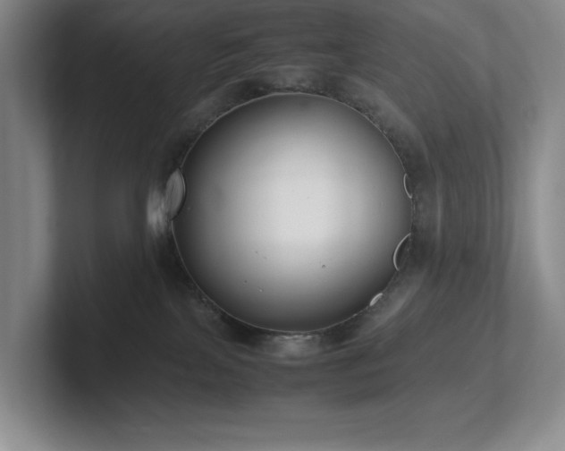 X0000102270089200807251358