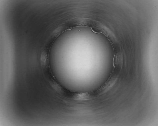 X0000102270092200807251358