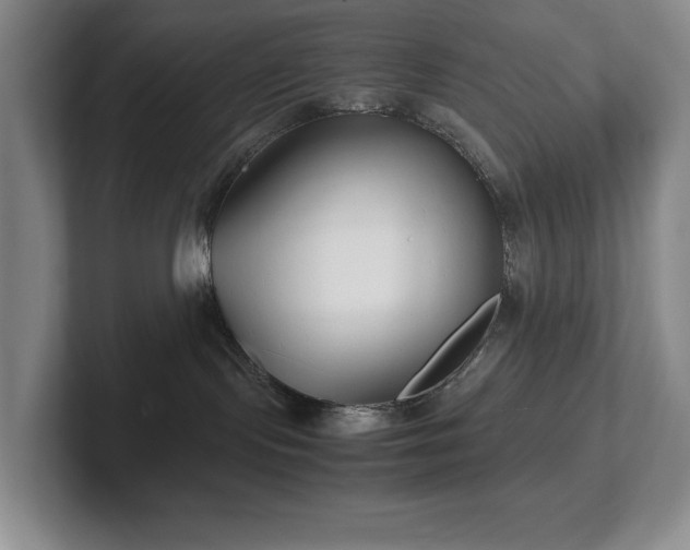 X0000102270095200807251358