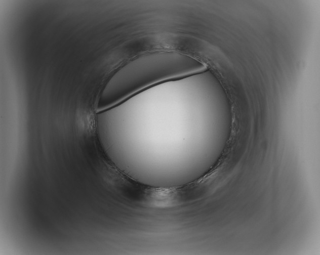 X0000102270096200807251358