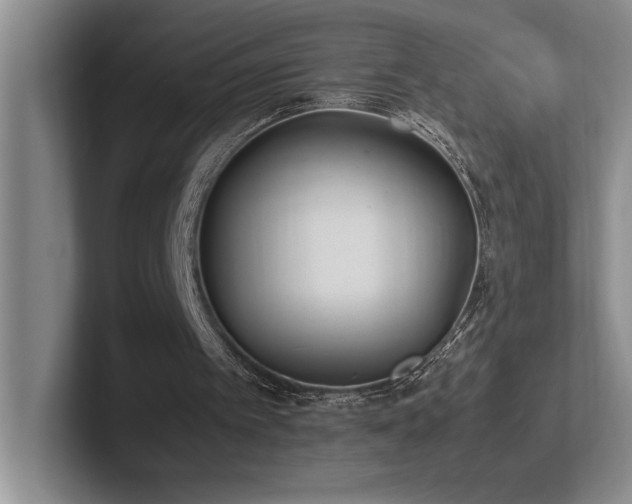 X0000102270097200807251357