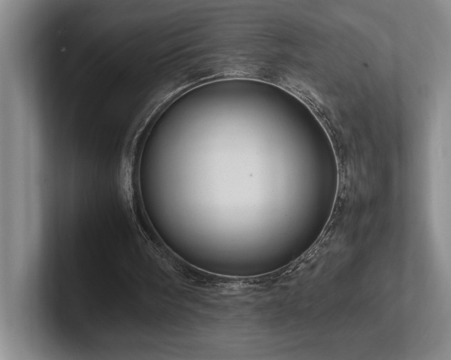 X0000102270098200807251357